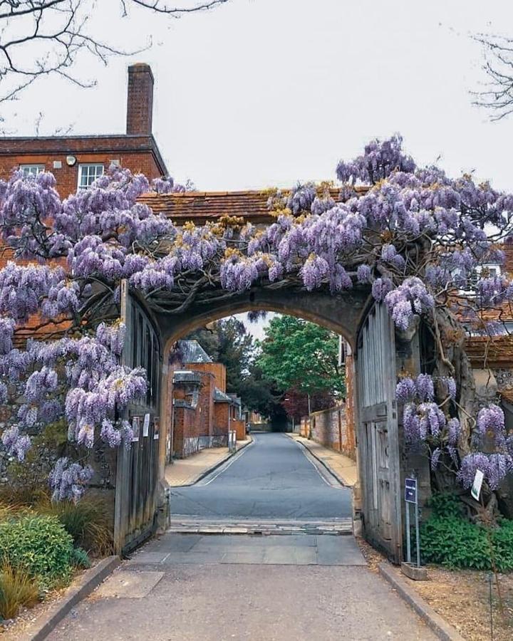 Winchester Retreat Apartment Bagian luar foto